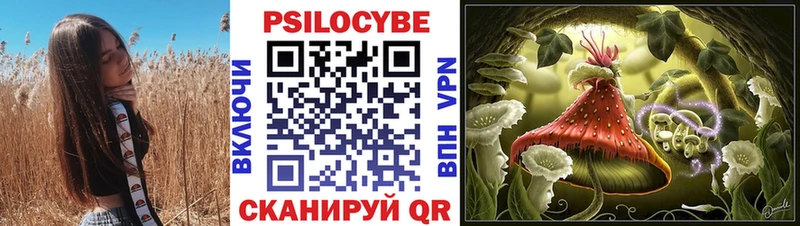 Галлюциногенные грибы Cubensis  кракен маркетплейс  Кудрово 